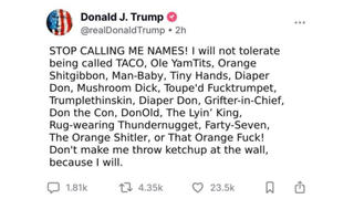 Fact Check: Donald Trump Did NOT Post 'Stop Calling Me Names' And Threatening To Throw Ketchup At The Wall -- Fake Image