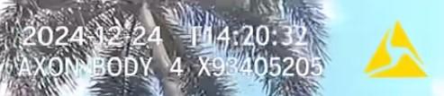 AxonWatermark.TeslaShot.jpg