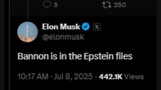 Fact Check: Elon Musk DID Post On X That Steve Bannon 'Is In The Epstein Files'  