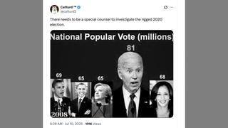 Fact Check:  Image Claiming Kamala Harris Got 68M Votes Does NOT Correctly Represent 2024 Election Results 