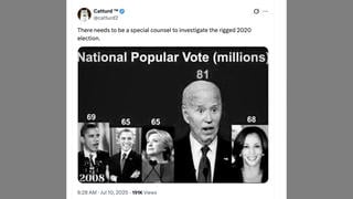 Fact Check:  Image Claiming Kamala Harris Got 68M Votes Does NOT Correctly Represent 2024 Election Results 