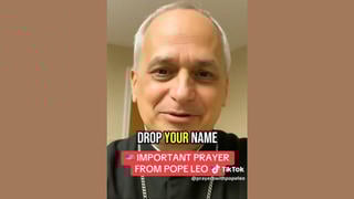 Fact Check: TikTok Video Labeled "Important Prayer From Pope Leo" Is NOT Authentic