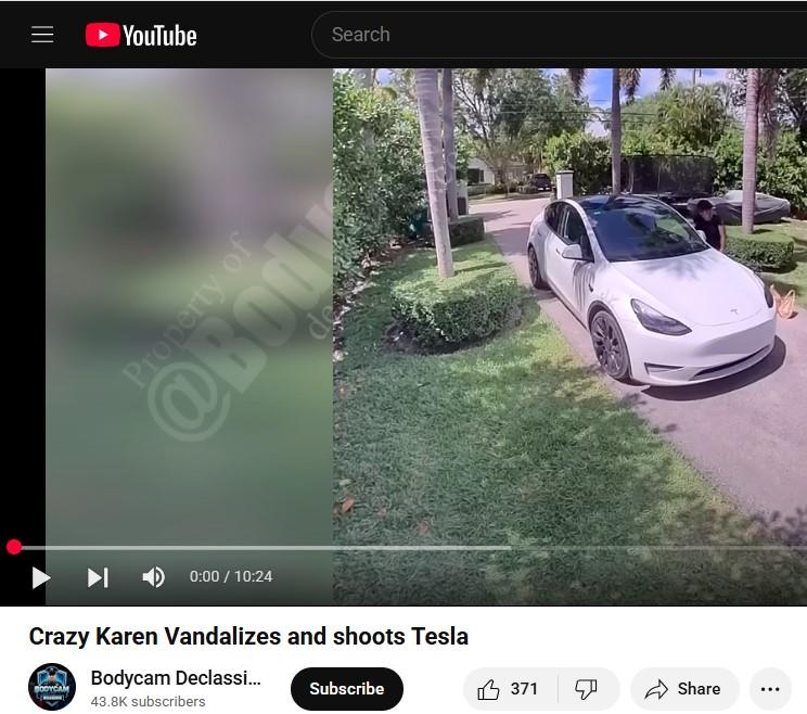 FullYT.ShotTesla.jpg
