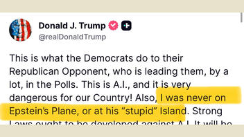 Fact Check: Donald Trump DID Post He Was Never On Epstein's Plane Or His 'Stupid' Island' -- In 2024