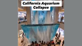 Fact Check: Viral AI Video Does NOT Document A California Aquarium Collapse In Which 50 People Died