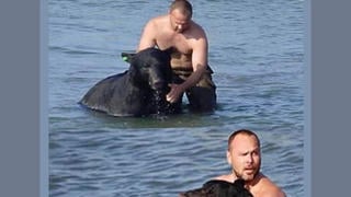 Fact Check: Russian Visitor Ivan Stepanov Did NOT Rescue Drowning Bear From Lake Tahoe -- A Stolen Story