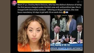 Fact Check: NO Antisemitism Mentioned In Destiny Marie Diciccio Disorderly Conduct Case -- Not Sentenced To Jail