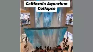 Fact Check: Viral AI Video Does NOT Document A California Aquarium Collapse In Which 50 People Died