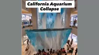 Fact Check: Viral AI Video Does NOT Document A California Aquarium Collapse In Which 50 People Died