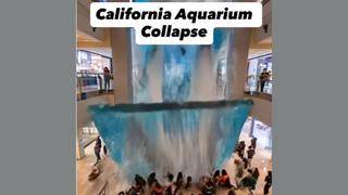 Fact Check: Viral AI Video Does NOT Document A California Aquarium Collapse In Which 50 People Died