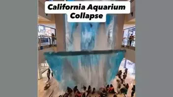 Fact Check: Viral AI Video Does NOT Document A California Aquarium Collapse In Which 50 People Died