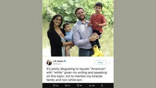Fact Check: JD Vance DID Post 'It's Pretty Disgusting To Equate 'American' with 'White'' About His Biracial Family -- In 2019