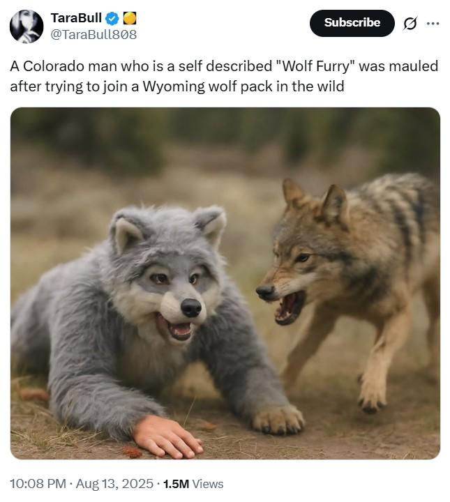 wolffurry.jpg