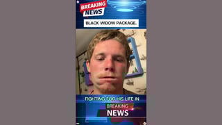 Fact Check: Texas Man "News Story" Is NOT True -- Tale Of Porch Pirate Bitten By Black Widow Spiders In Package Originated From A Satire Account