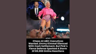 Fact Check: Fake Pink Quote Defending Jimmy Kimmel "Freedom of Speech Cannot Be Bought With Money" Did NOT Appear On Her Socials