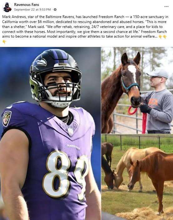 MarkAndrews.jpg