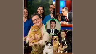Fact Check: Stephen Colbert Did NOT Announce He Was Opening A $10 Million 'Paradise' For Dogs And Cats