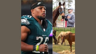 Fact Check: Football Player Saquon Barkley Did NOT Launch A $6 mіllіon, 150-acre "Freedom Ranch" Horse Sanctuary -- It's Clickbait