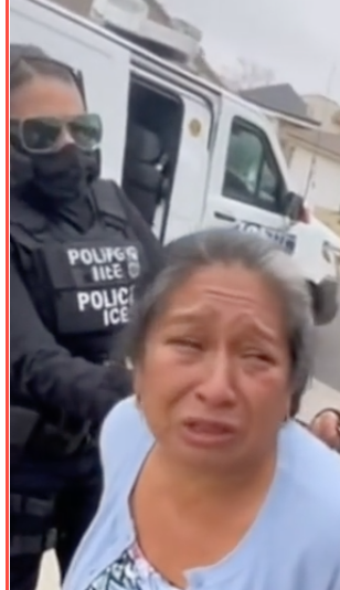 Screen Shot 2025-10-23 at 1.13.47 PM.png