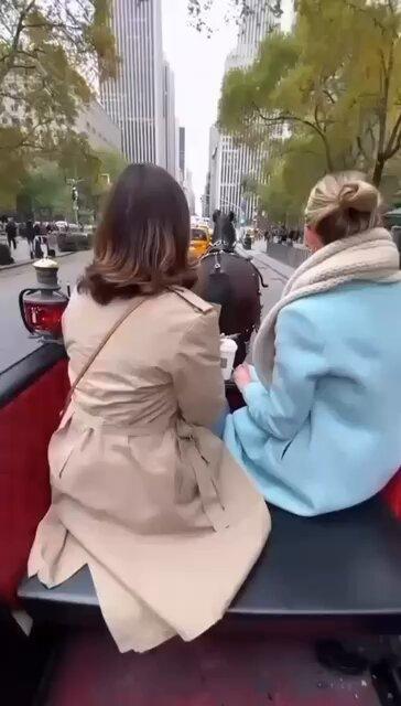 carriageride.jpg