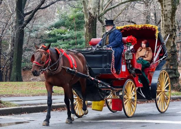 nyccarriage.jpg