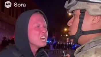 Fact Check: Video Showing "Sergeant Pepper" Spraying A Shouting Protester In The Face Is NOT Real -- Made With AI Video App