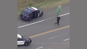 Fact Check: Video Of Police Chasing Person In Pickle Costume Is NOT Real