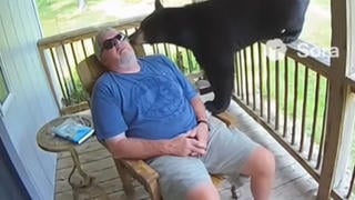 Fact Check: Video Of Black Bear Waking Man Napping On Porch Is NOT Real -- It's AI-Generated