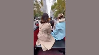 Fact Check: Manure Incident In New York City Carriage Ride Video Is NOT Real -- AI-Generated Horse Pucky