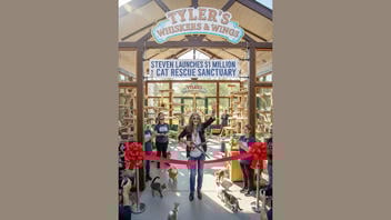 Fact Check: Steven Tyler Did NOT Start a 'Whiskers & Wings' Cat Sanctuary 