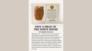 Fact Check: Trump Administration Did NOT Issue Press Release Offering 'Patriots ... A Piece Of The White House', As Of October 27, 2025