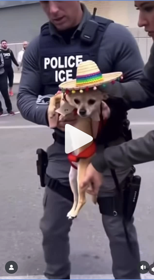 Screenshot 2025-10-09 at 10.08.14 AM.png