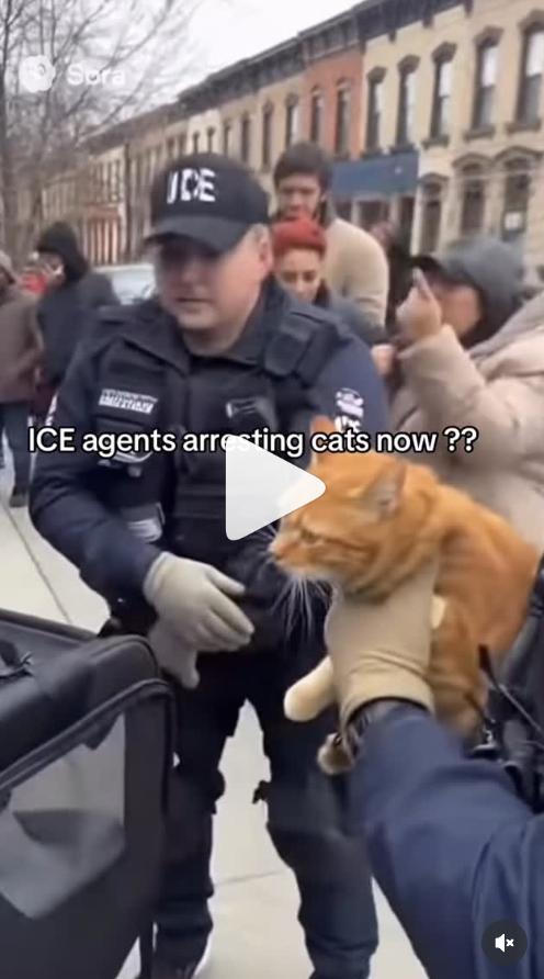 Screenshot 2025-10-09 at 12.04.00 PM.png