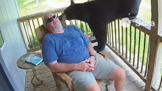 Fact Check: Video Of Black Bear Waking Man Napping On Porch Is NOT Real -- It's AI-Generated