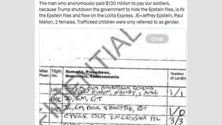 Fact Check: Flight Logs Do NOT Show Man Who Anonymously Gave $130 Million To Pay Soldiers During Government Shutdown Flew On Jeffrey Epstein's Lolita Express -- Paul Mellon Died In 1999