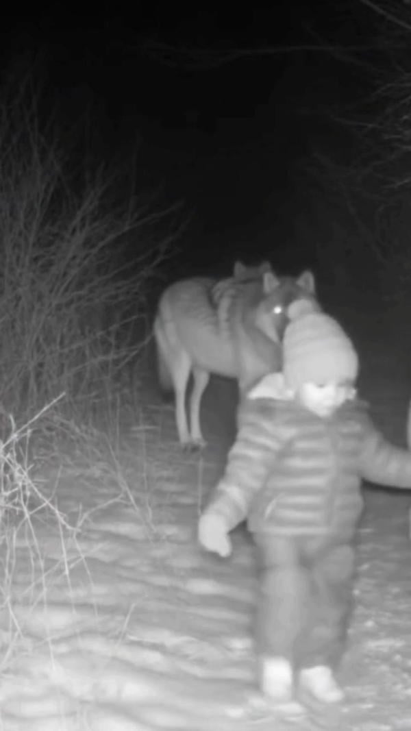 582718299_858944696541670_619689455615781492_n (1).jpg