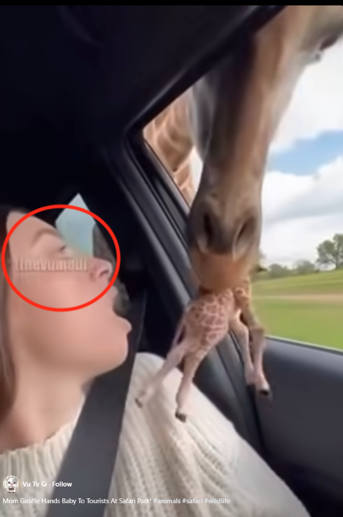 Screen Shot 2025-11-18 at 1.08.30 PM.png