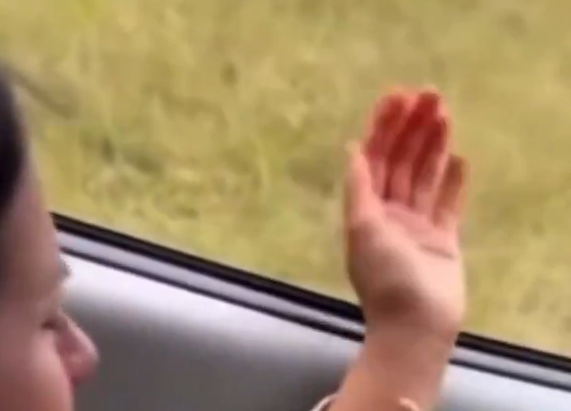 Screenshot 2025-11-03 092648.png