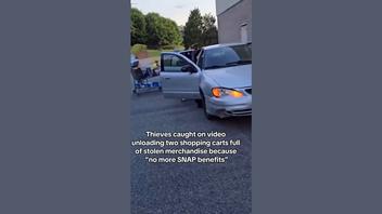 Fact Check: 'No More SNAP Benefits' Video Of Two Women Moving 'Two Carts Full Of Products' Into Their Car Is NOT Related To Program's Cuts In November 2025