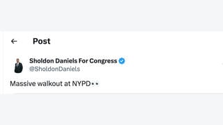 Fact Check: Police Official Says NO Massive Walkout At NYPD After New Mayor Elected