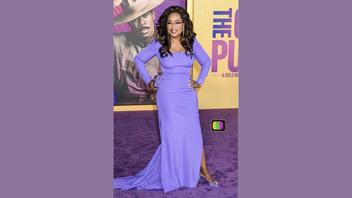 Fact Check: Oprah Winfrey Did NOT Give $1 Million To Chicago Mom Who Was Attacked By Kids