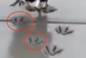 Screenshot 2025-11-14 at 9.38.46 AM.png