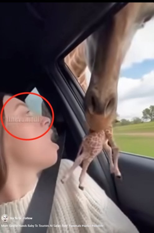 Screen Shot 2025-11-18 at 1.08.30 PM.png