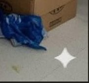 Screenshot 2025-11-20 115457.png