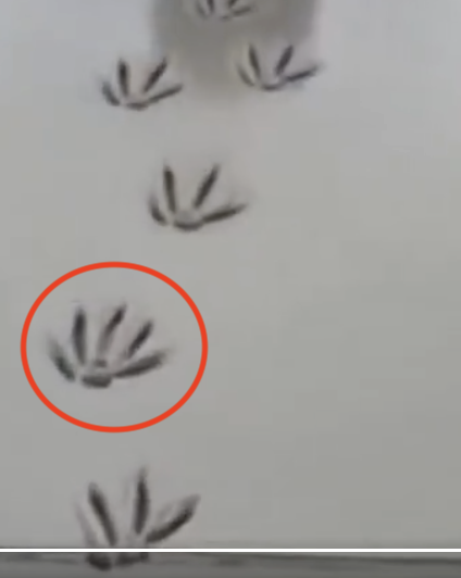 Screenshot 2025-11-14 at 9.30.03 AM.png