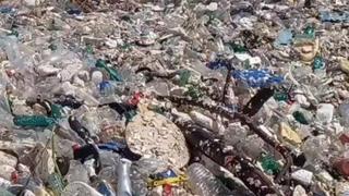Fact Check: Video Of Floating Plastic Waste Is NOT In Asia -- Garbage Is On Guatemala's Caribbean Shore