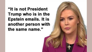 Fact Check: White House Press Secretary Karoline Leavitt Did NOT Say That 'Trump' Named In Epstein Files Is 'Another Person With The Same Name'