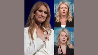 Fact Check: Fake 'You Need To Shut Up' Tweet Story About Karoline Leavitt, Other Celebrities -- Spam From Vietnam