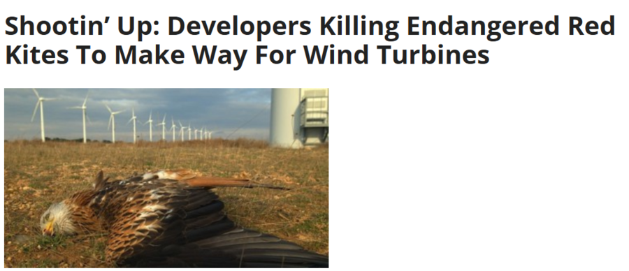 Screenshot 2026-01-02 100754.png