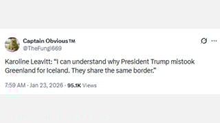 Fact Check: Karoline Leavitt Did NOT Say That Greenland And Iceland 'Share The Same Border'